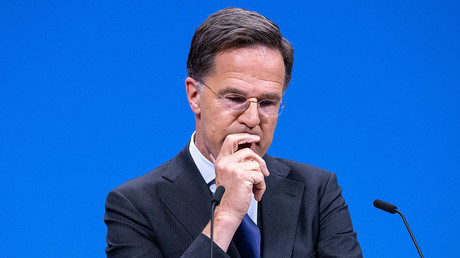 Vladimir Médinsky propose d'envoyer à Rutte un manuel d'histoire afin qu'il apprenne l'histoire de l'Ukraine