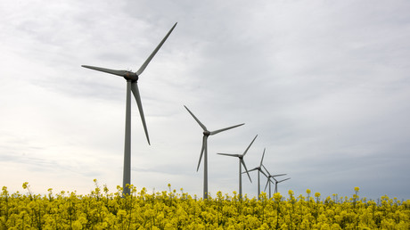 Un moratoire controversé sur l’éolien et le photovoltaïque adopté à l’Assemblée nationale