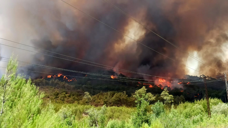 Incendies dévastateurs sur la côte syrienne