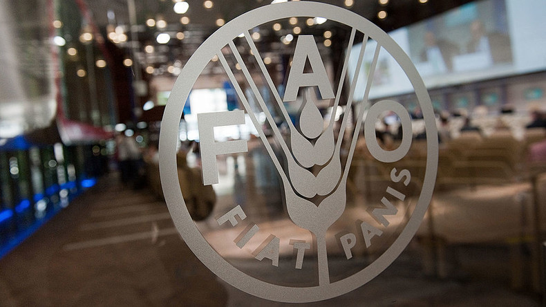 Le Burkina Faso et le Niger élus pour un mandat de 3 ans au Conseil de la FAO