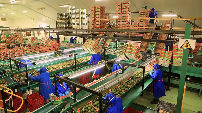 Droits de douane : l'économie sud-africaine risque de pâtir des tarifs imposés par Trump