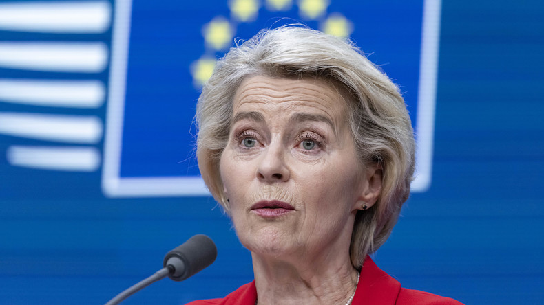 Motion de censure contre von der Leyen : une ONG lithuanienne pointe du doigt les médias russes