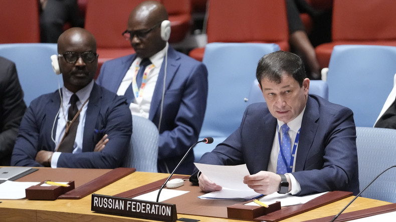 « L'Occident impose cette guerre à la Russie », estime Poliansky