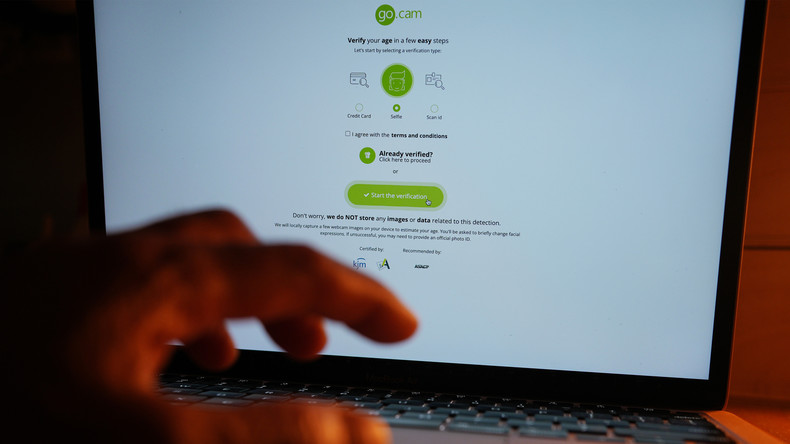 Royaume-Uni : une pétition géante contre la loi sur la sécurité en ligne