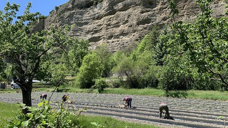 La Cour des comptes dénonce l’inaction sur le logement des travailleurs saisonniers