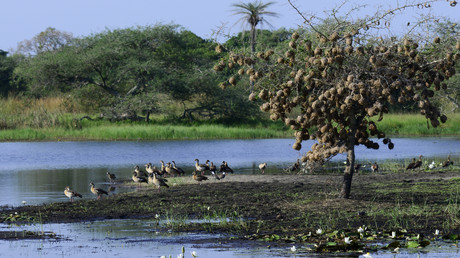 Guinée-Bissau : l'archipel des Bijagos entre au patrimoine mondial de l'humanité