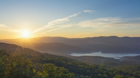 La Tunisie ambitionne d’augmenter sa couverture forestière pour préserver l’environnement