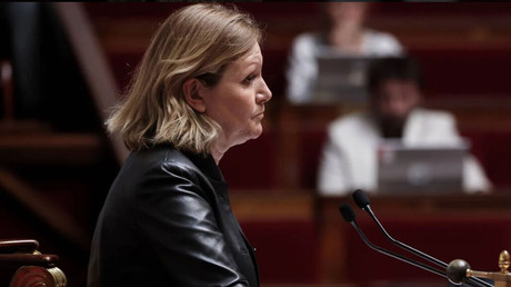 Un million de signatures contre la loi Duplomb : une mobilisation record et un débat pour rien ?