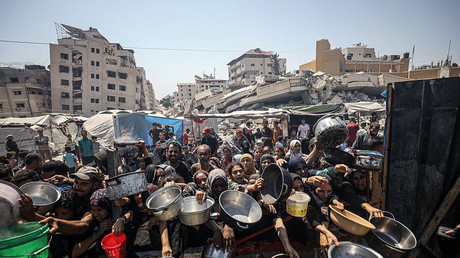 Gaza : un «génocide» en cours, une famine organisée ?