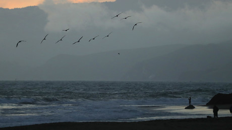 Pacifique : alerte au tsunami en Polynésie française après un séisme au large des côtes russes