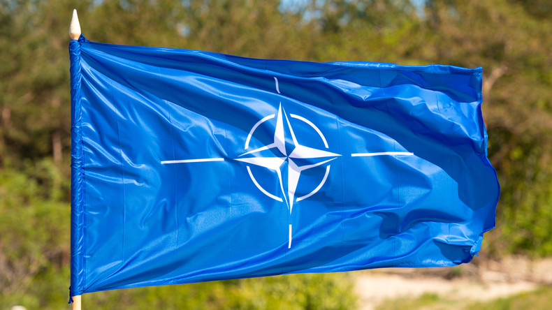 L’Estonie pourrait accueillir un nouveau corps militaire de l'OTAN