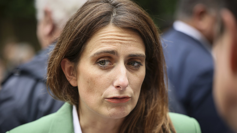 France : les écologistes réclament le déploiement de la Marine pour acheminer l'aide à Gaza