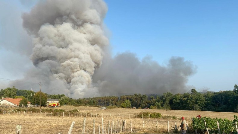 Sud-Charente : un incendie dévaste 230 hectares dans le massif de la Double