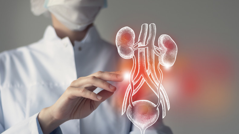 Inédit en Afrique : des médecins marocains réussissent la première greffe rénale ABO incompatible