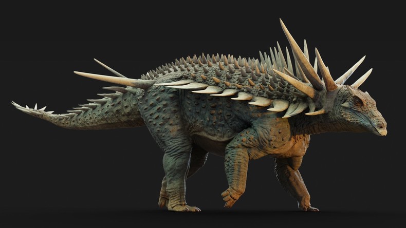 Maroc : découverte du fossile du plus ancien dinosaure cuirassé au monde