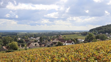 Coup dur pour les vignobles français : pas d’exemption des taxes américaines
