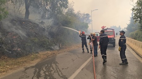 Algérie : feu intense dans les montagnes de Chréa, la population évacuée