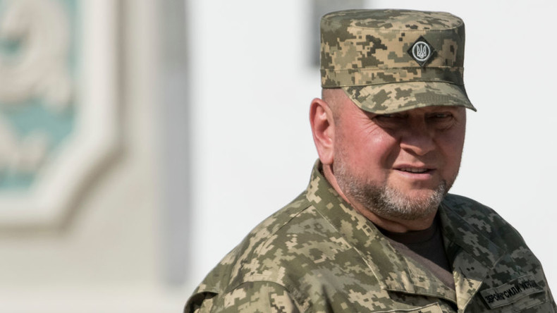 Enquête Nord Stream : des pistes mènent à l’ex-chef de l’armée ukrainienne, selon Welt