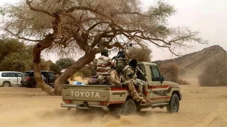Niger : 14 soldats tués et deux blessés lors d'une embuscade terroriste dans l’ouest du pays