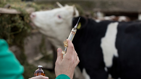 Le Maroc, premier importateur de vaccins vétérinaires russes en dehors de l’espace eurasiatique