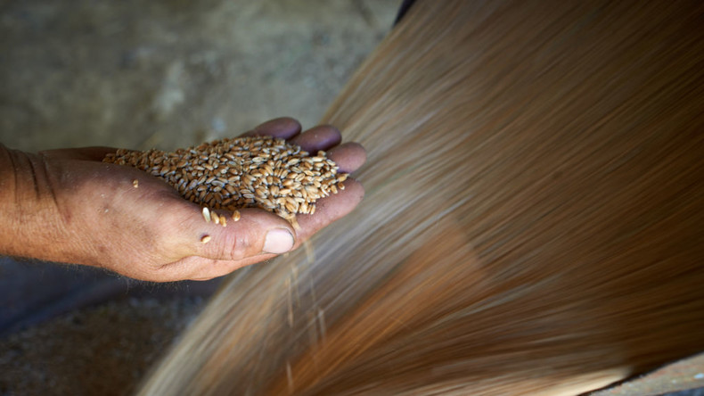 Les exportations françaises de blé pâtissent de la crise diplomatique entre Paris et Alger