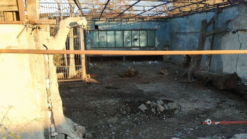 Deux drones ukrainiens frappent un zoo dans la région de Zaporojié, blessant un lion