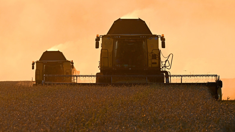 Céréales : les exportations russes vers le Maroc multipliées par 2,7 entre le 1er et le 20 décembre