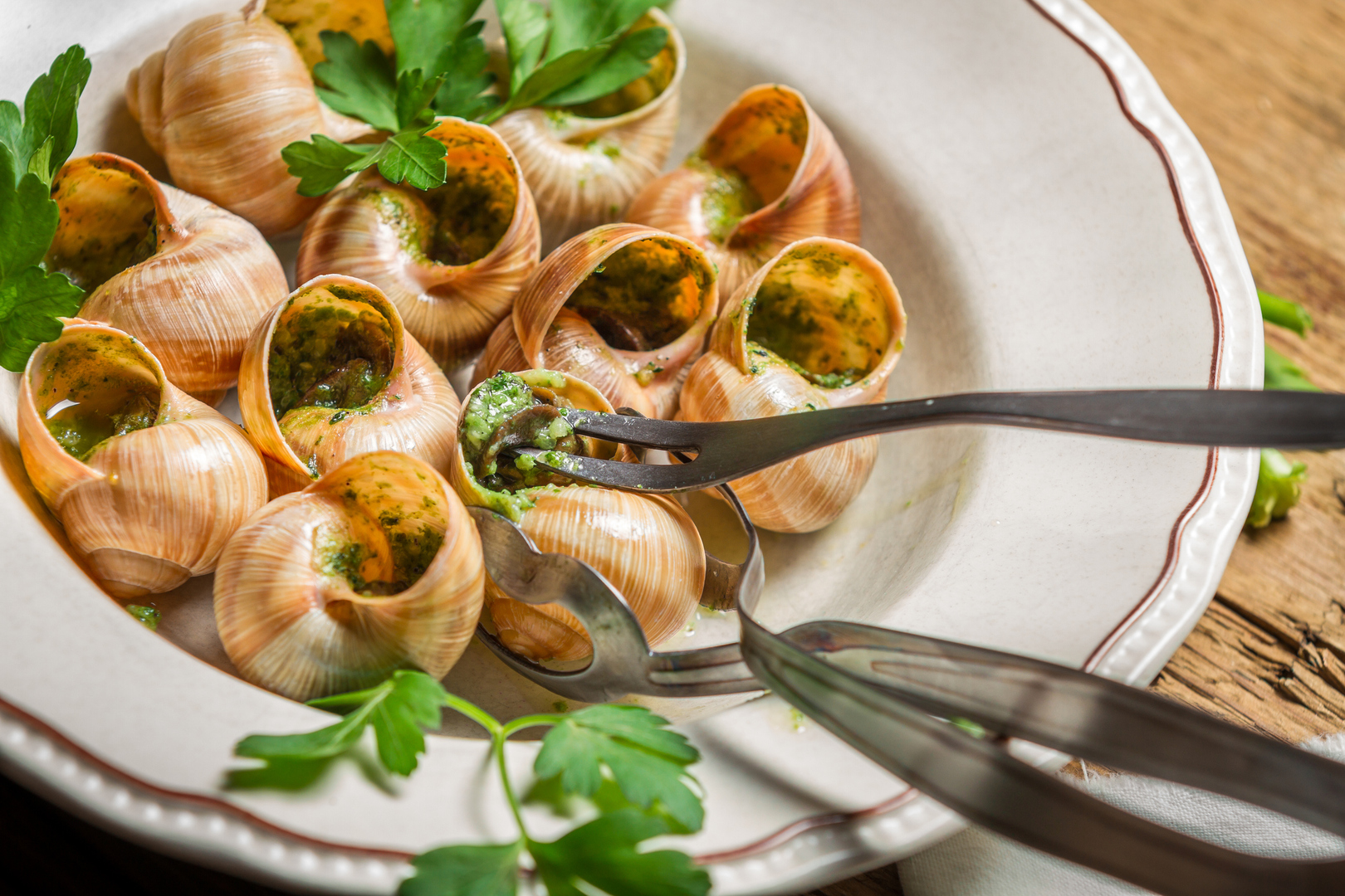 Alerte rouge avant Noël : la gendarmerie française mobilise ses forces... pour sécuriser des huîtres et des escargots