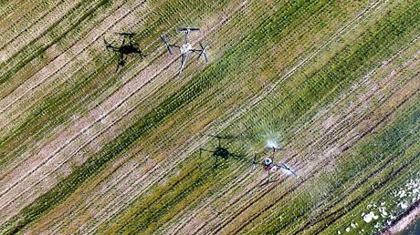 La Tunisie autorise l’usage des drones dans l’agriculture dès 2026