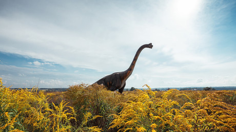 Chine : découverte exceptionnelle d’empreintes de dinosaures datant de 200 millions d’années