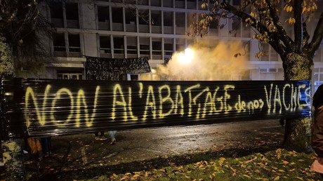 France : mobilisations agricoles en Ariège contre l’abattage pour dermatose