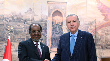 Le président somalien au chevet d'Erdoğan, après les annonces israéliennes