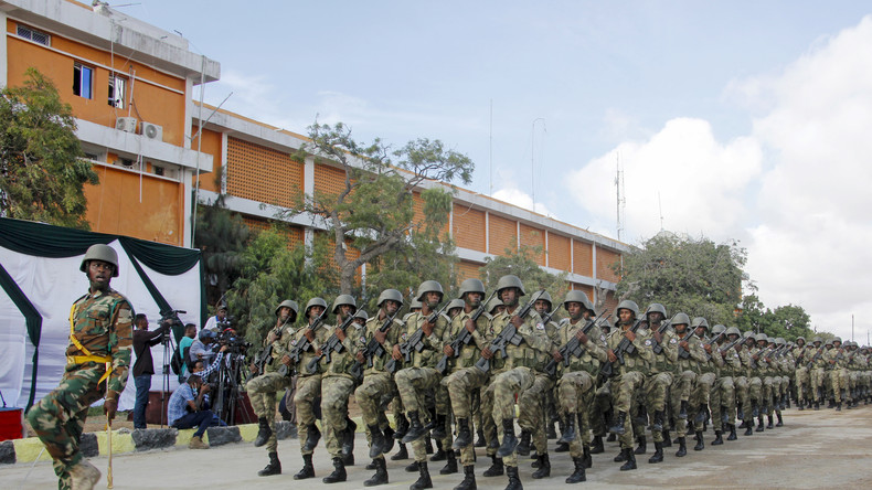 Somalie : 29 combattants shebab tués avec le soutien de partenaires internationaux