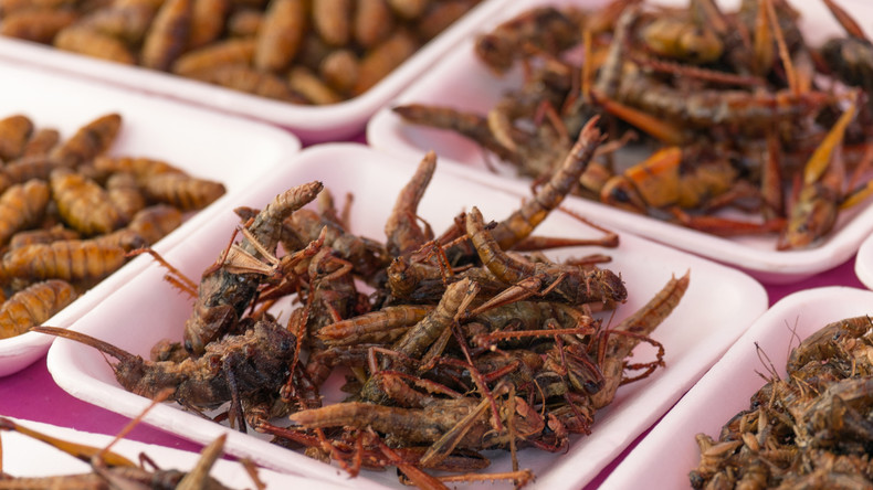 Pas d’insectes au menu : Moscou rejette les alternatives alimentaires européennes