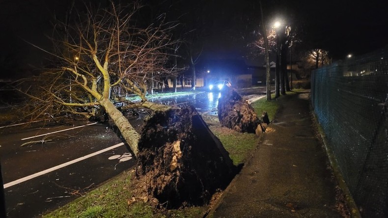Tempête Goretti : vents records et dégâts limités en France (VIDEOS)