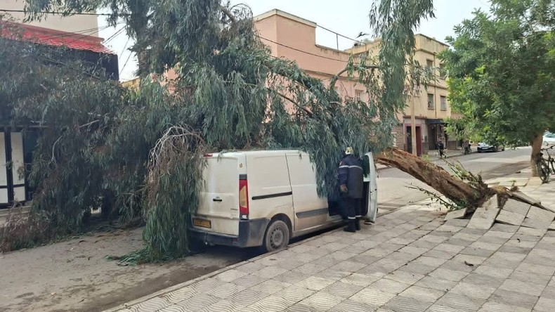 Vents violents en Algérie : 4 blessés et des dégâts matériels importants