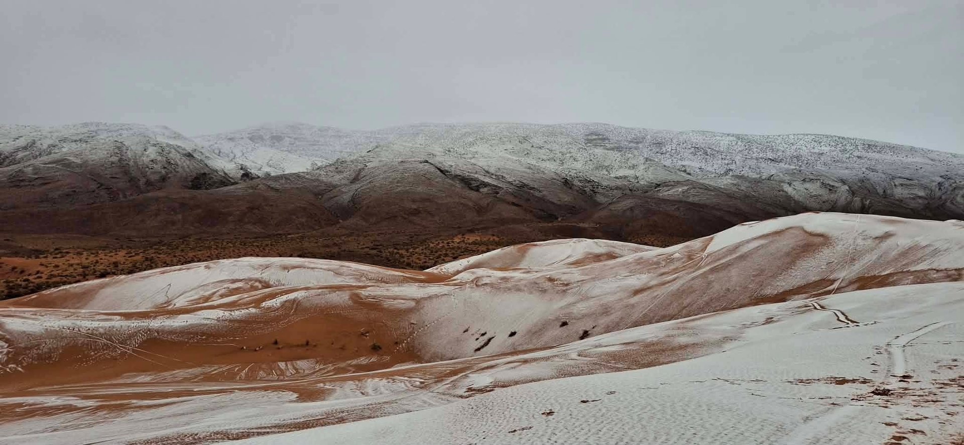 Le Sahara algérien recouvert de neige : les images d’un phénomène assez rare
