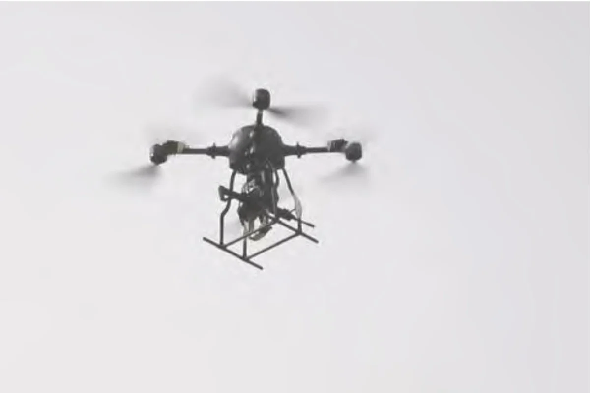 100 % de réussite : la Chine dévoile un drone qui ne manque jamais sa cible