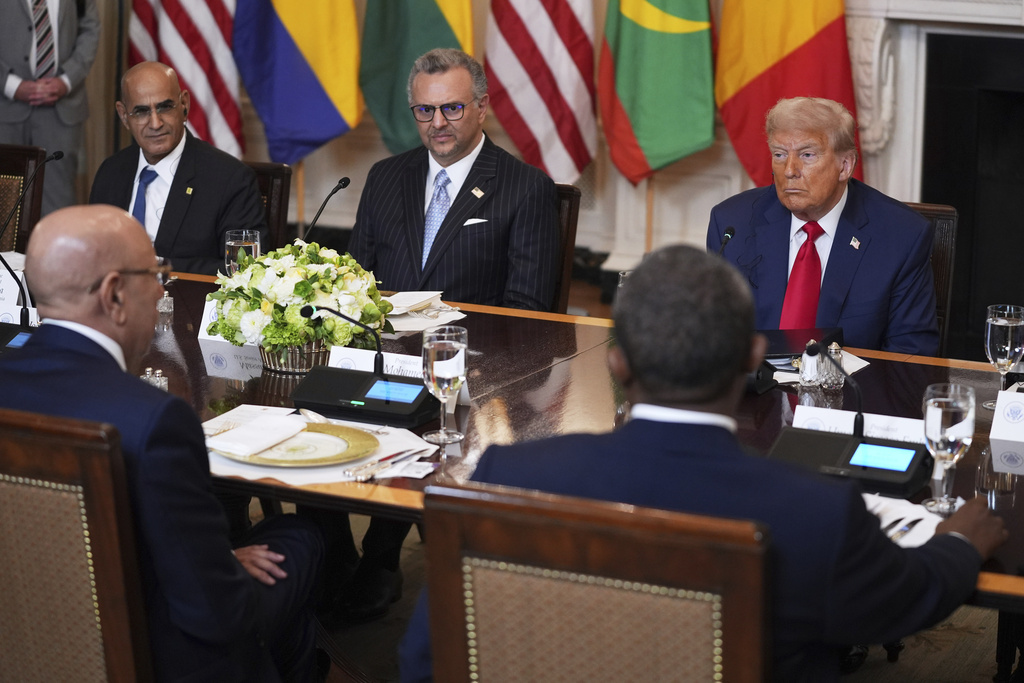 Minerais critiques : Trump réunit des dirigeants africains à Washington le 4 février