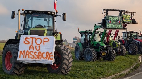 Colère agricole : malgré les annonces de Lecornu, la mobilisation ne faiblit pas