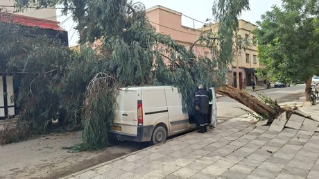 Vents violents en Algérie : 4 blessés et des dégâts matériels importants
