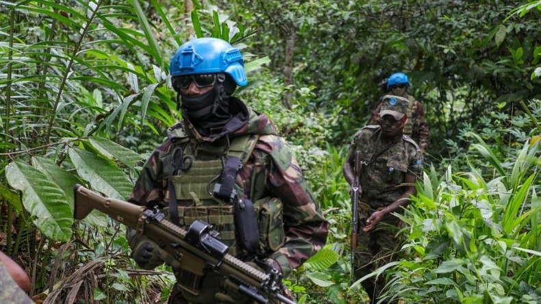 Afrique du Sud : Pretoria retire ses soldats de la Monusco en RDC