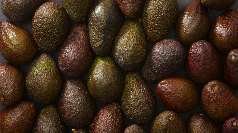 Le Maroc se hisse au rang de premier exportateur africain d’avocats