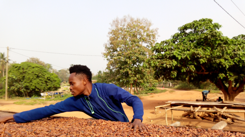 Ghana : les acheteurs de cacao étranglés par une dette de 750 millions de dollars