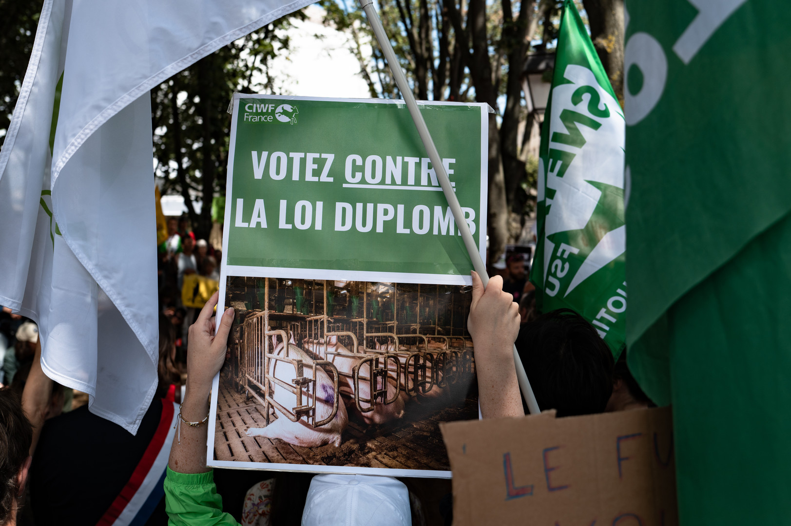 Des manifestations contre la loi Duplomb organisées partout en France ce week-end