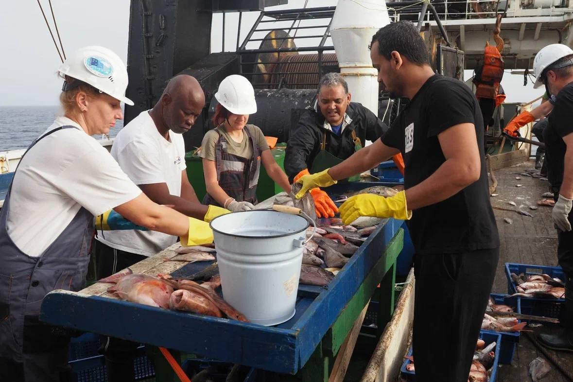 La Russie conclut avec succès la Grande expédition africaine