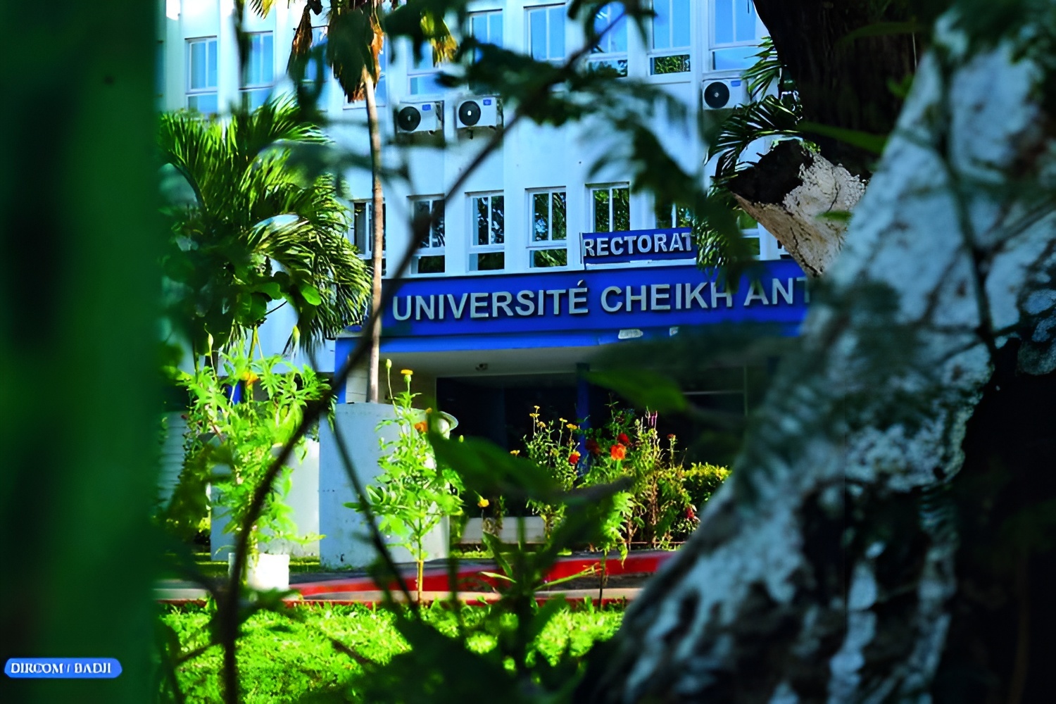 Sénégal : après la mort d’un étudiant à l’UCAD, l’Amicale de la FMPO rejette la suspension des associations