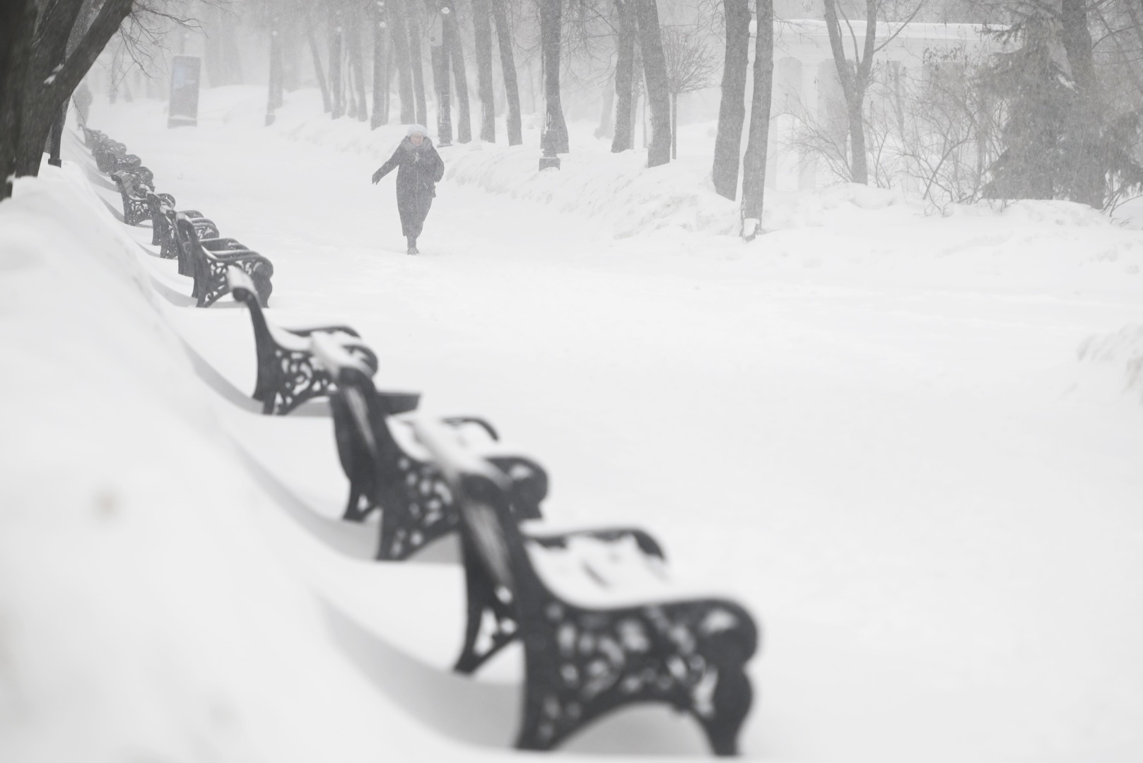 Tempête de neige record à Moscou : 64 % des précipitations mensuelles tombées en une journée, un niveau inédit depuis 56 ans