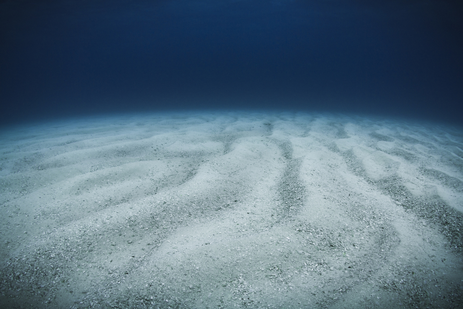 Le Japon mise sur les abysses pour sécuriser ses terres rares