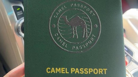 Passeport pour chameaux en Arabie saoudite
